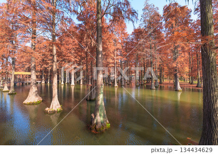 無人 自然 天然 134434629