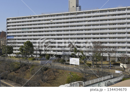 千里ニュータウン青山台(大阪府吹田市)のUR千里青山台団地 千里ニュータウン青山台(大阪府吹田市)のUR千里青山台団地 134434670