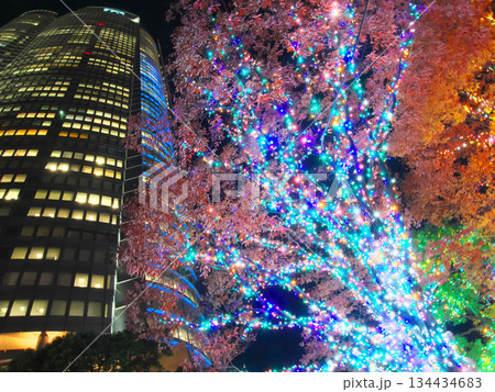 クリスマス・イルミネーションが美しい夜の六本木ヒルズ(2025年11月) クリスマス・イルミネーションが美しい夜の六本木ヒルズ(2025年11月) 134434683