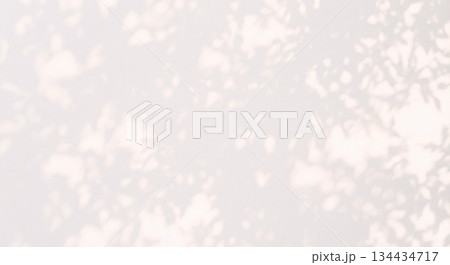 植物　影　光　日差し　木漏れ日 134434717