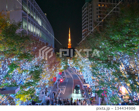 六本木・けやき坂通りの美しいクリスマス・イルミネーションと東京タワー 都市景観(2025年11月) 六本木・けやき坂通りの美しいクリスマス・イルミネーションと東京タワー 都市景観(2025年11月) 134434986