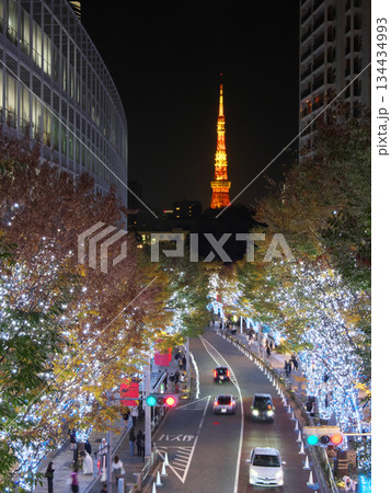 六本木・けやき坂通りの美しいクリスマス・イルミネーションと東京タワー　都市景観（2025年11月） 134434993