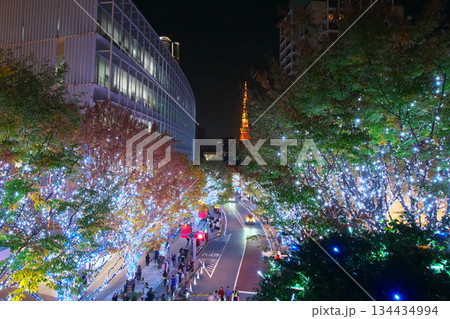 六本木・けやき坂通りの美しいクリスマス・イルミネーションと東京タワー 都市景観(2025年11月) 六本木・けやき坂通りの美しいクリスマス・イルミネーションと東京タワー 都市景観(2025年11月) 134434994