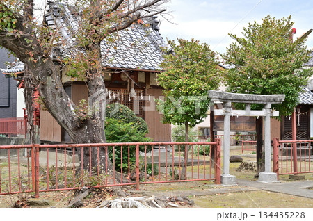 越谷散歩・女帝神社 越谷市大字平方 越谷散歩・女帝神社 越谷市大字平方 134435228