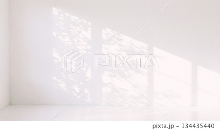 植物 影 光 日差し 木漏れ日 植物 影 光 日差し 木漏れ日 134435440