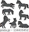 黒い馬セット 黒い馬セット 134435452