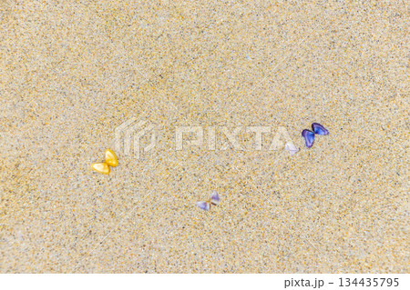 Thailand beach sand with colorful mussels shells and water texture. Thailand beach sand with colorful mussels shells and water texture. 134435795