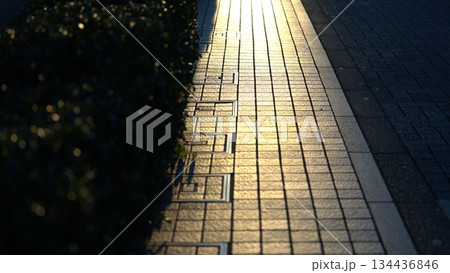 夕日が反射した道 夕日が反射した道 134436846