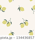 シンプルな手描きの落書き風淡色レモンのシームレスパターン 134436857