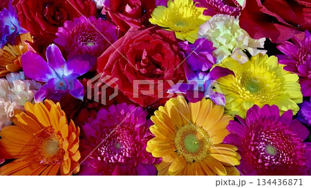 12月のカラフルな花手水(薔薇・ガーベラ・デンファレ・菊)〈菅生神社/愛知県岡崎市〉 12月のカラフルな花手水(薔薇・ガーベラ・デンファレ・菊)〈菅生神社/愛知県岡崎市〉 134436871