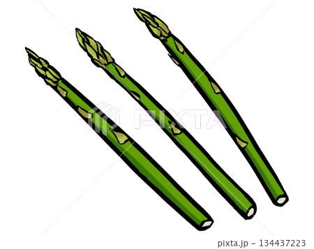 アスパラガスのイラスト （筆タッチ・春野菜） シンプル 134437223