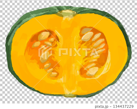 半分にカットしたかぼちゃのイラスト 半分にカットしたかぼちゃのイラスト 134437229