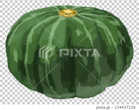 整個南瓜插圖 整個南瓜插圖 134437230