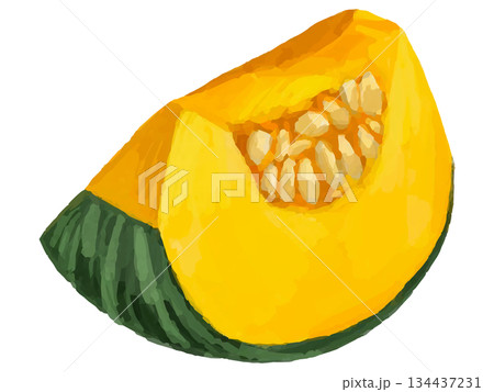 カットかぼちゃのイラスト(4分の1) 134437231