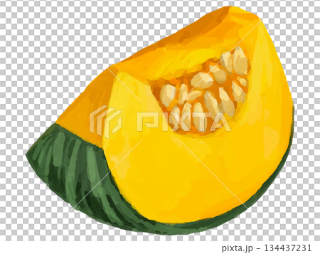 カットかぼちゃのイラスト(4分の1) 134437231