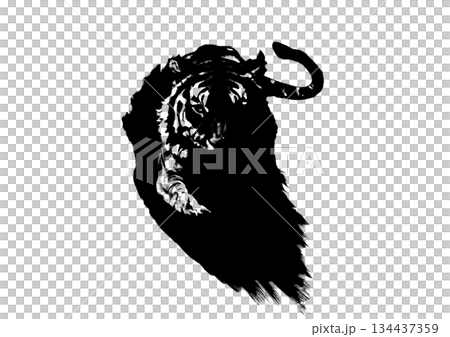 Ink drawn abstract tiger silhouette illustration 134437359