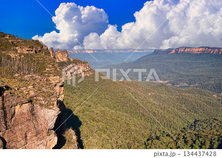 ブルーマウンテン国立公園のユーカリの原生林の景観 134437428