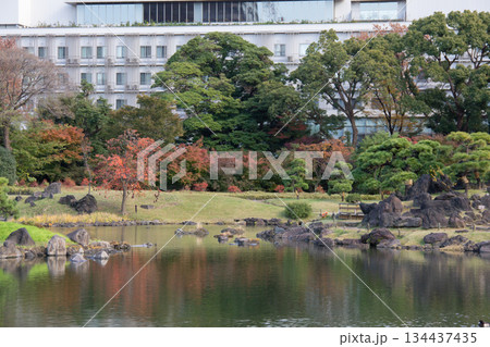 旧芝離宮恩賜庭園に広がる池と紅葉の景観 134437435