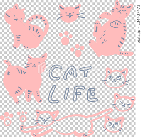 可愛的粉紅貓咪插畫集 134437473