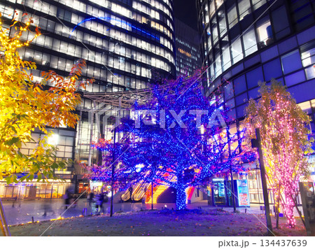 イルミネーションが美しい、ワテラス - WATERRAS の夕景 都市景観(2025年11月) イルミネーションが美しい、ワテラス - WATERRAS の夕景 都市景観(2025年11月) 134437639