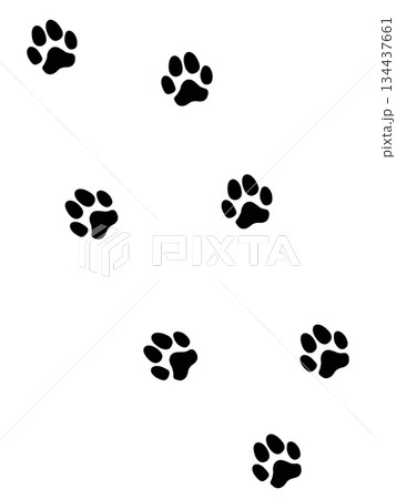犬の足跡（痕跡） 134437661