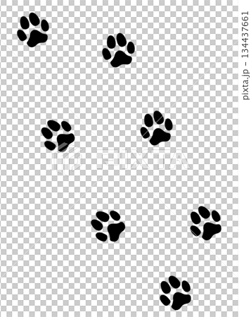 犬の足跡（痕跡） 134437661