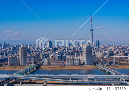 【東京都】東京都市風景 墨田区・江東区・江戸川区 【東京都】東京都市風景 墨田区・江東区・江戸川区 134437889