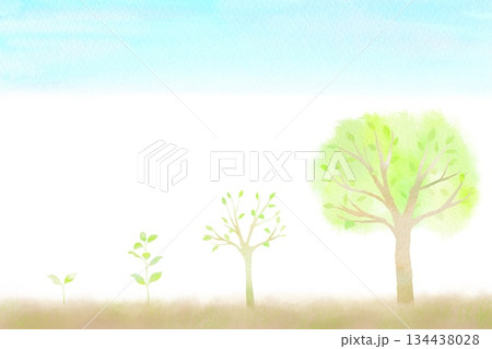 新芽から若木への4段階の成長プロセスを表した水彩イラスト。 134438028