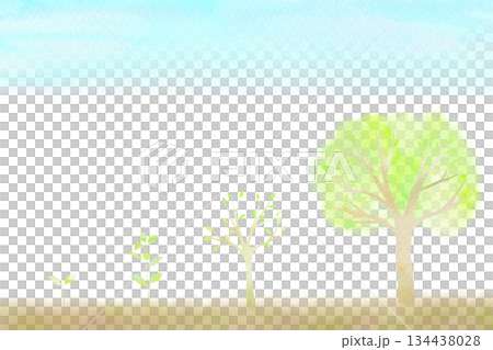 A watercolor illustration showing the four stages of growth from sprout to young tree. 134438028