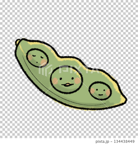 手繪可愛毛豆插圖 134438449