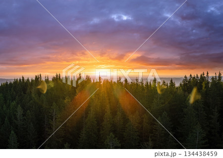 Beautiful landscape. Dramatic sunset over highland terrain. Dark pine forest illuminated with bright setting sun. Colorful nature of wild mountains 134438459