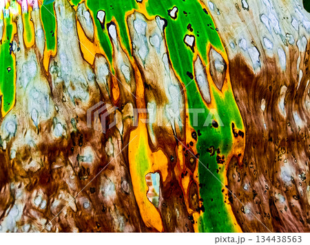 leaf texture image for background leaf texture image for background 134438563