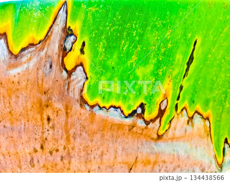 leaf texture image for background leaf texture image for background 134438566