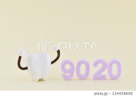 9020とミニチュアの歯 134438608