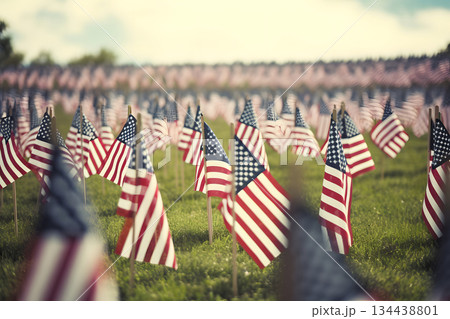Memorial Day tribute. Many small American flags on a green lawn, neural network generated photorealistic image 134438801