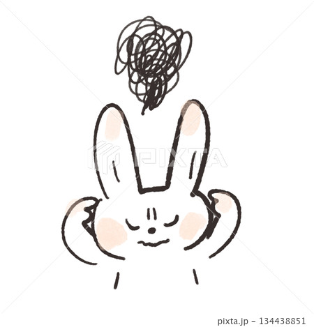 悩むうさぎのイラスト 134438851