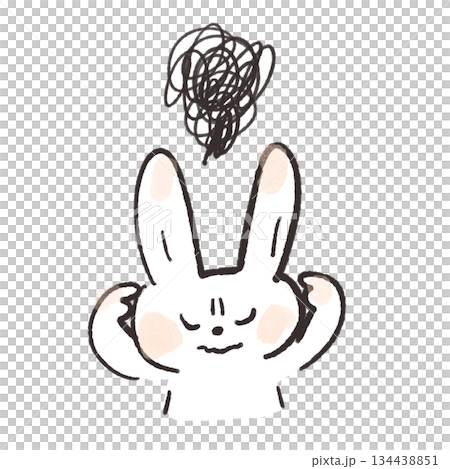 悩むうさぎのイラスト 134438851