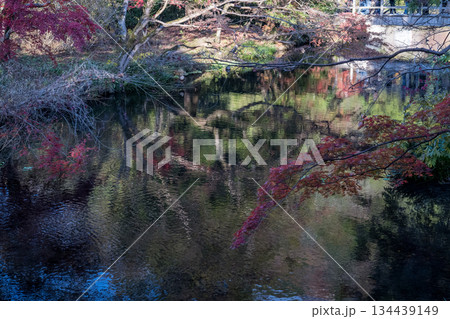 由布院金鱗湖の紅葉 由布院金鱗湖の紅葉 134439149