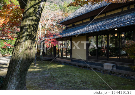 由布院金鱗湖の紅葉 由布院金鱗湖の紅葉 134439153