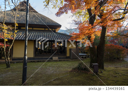 由布院金鱗湖の紅葉 134439161