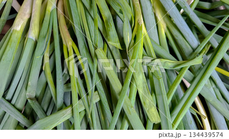 Fresh Green Scallions Pile Close Up Background 134439574
