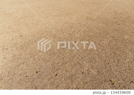 冬の地面 冬の地面 134439600