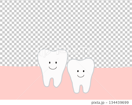 健康で元気な2本の下の歯:かわいいキャラクターのイラスト・主線あり 健康で元気な2本の下の歯:かわいいキャラクターのイラスト・主線あり 134439699