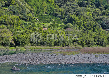 片岡沈下橋から眺める仁淀川 134439717