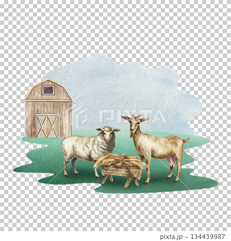 Farmyard. Hand-drawn watercolor illustration. Goat and ram eating hay in front of a barn. Concept of the agricultural industry. Design element for banners, labels, postcards, and more. 134439987