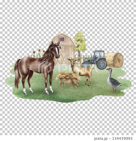 Farmyard. Hand-drawn watercolor illustration. A horse, a goat, and a goose in an agricultural yard with a barn, hay, a tractor, and more. The concept of the agricultural and livestock industry. 134439993