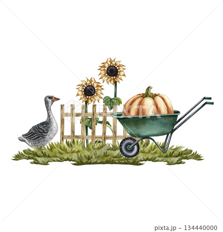 A large pumpkin on a wheelbarrow, a goose, a wooden fence, and sunflowers. Hand-drawn watercolor illustration. Garden concept. Design element for banners, stickers, postcards, and more. 134440000