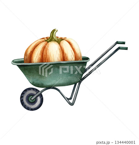 A huge and heavy, ripe pumpkin loaded onto a wheelbarrow. Hand-drawn watercolor illustration. For vegetable contests, harvest festivals, banners and posters, postcards, labels, and more. A huge and heavy, ripe pumpkin loaded onto a wheelbarrow. Hand-drawn watercolor illustration. For vegetable contests, harvest festivals, banners and posters, postcards, labels, and more. 134440001