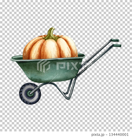 A huge and heavy, ripe pumpkin loaded onto a wheelbarrow. Hand-drawn watercolor illustration. For vegetable contests, harvest festivals, banners and posters, postcards, labels, and more. A huge and heavy, ripe pumpkin loaded onto a wheelbarrow. Hand-drawn watercolor illustration. For vegetable contests, harvest festivals, banners and posters, postcards, labels, and more. 134440001