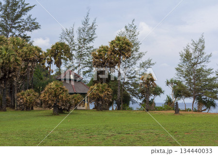 Thai style pavilion on the grass field and sea background. Thai style pavilion on the grass field and sea background. 134440033